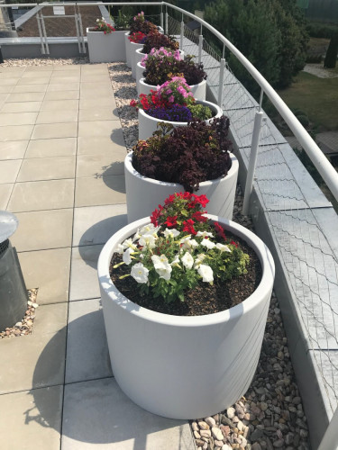 Rad okrúhlych kvetináčov s krásnými kvetmi