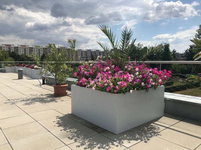 Nadmerná veľkosť kvetináče